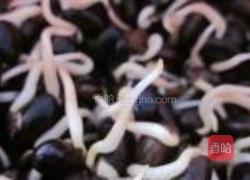 自制黑豆芽的做法图解5