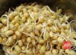 自制黄豆芽的做法图解6