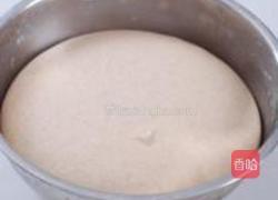 藕丁猪肉大包的做法图解2