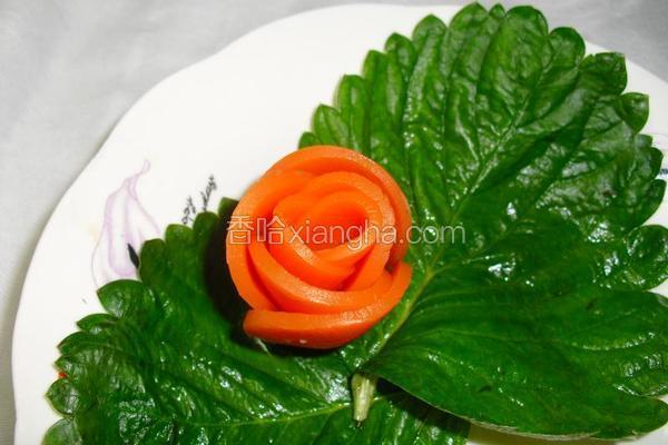 胡萝卜花