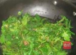 烫面菠菜蒸包的做法图解5