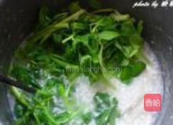 剥皮鱼西洋菜粥的做法图解5