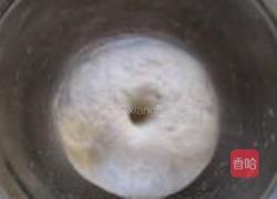 香菇青菜包的做法图解6