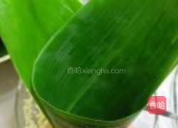 红豆粽的做法图解5