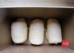 北海道吐司的做法图解7