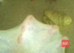 鲜奶油面包的做法图解3