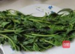 香椿麻汁凉拌面的做法图解1