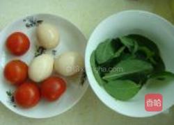 番茄鸡蛋薄荷煎饺的做法图解1