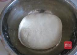 茴香猪肉包的做法图解1