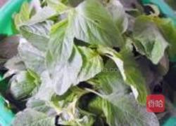 苋菜鸡蛋包子的做法图解2