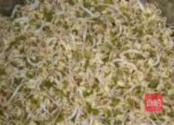 自制绿豆芽的做法图解12