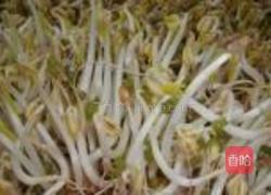 自制绿豆芽的做法图解13