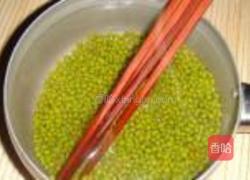 自制绿豆芽的做法图解2
