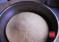 水煎山苜楂猪肉包的做法图解8