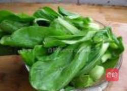 菜豆腐的做法图解5