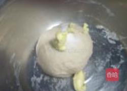 奶油面包卷的做法图解6