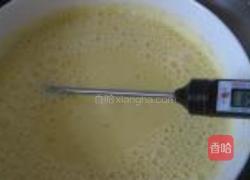 香草芒果冰淇淋的做法图解16