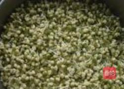 绿豆芽的做法图解2