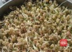 绿豆芽的做法图解3