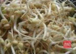 绿豆芽的做法图解4