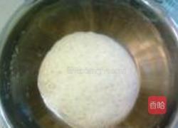 小麦胚芽刀切馒头的做法图解4