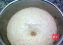 小麦胚芽刀切馒头的做法图解5