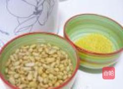 冰豆浆的做法图解1