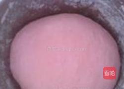 苋菜汁儿水饺的做法图解7
