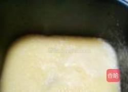 苹果酱的做法图解5