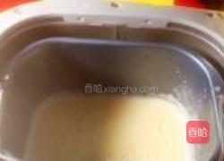 苹果酱的做法图解6