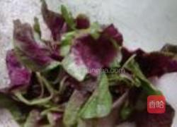 苋菜饼的做法图解1