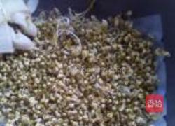自发黄豆芽的做法图解6