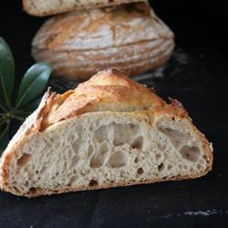 天然酵种全麦面包的做法[图]