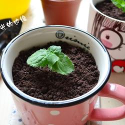 盆栽椰奶冻的做法[图]