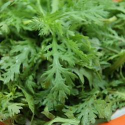 凉拌茼蒿的做法[图]