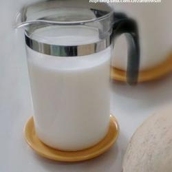 椰汁乳的做法[图]