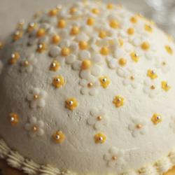 香草慕司的做法[图]