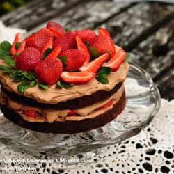 巧克力草莓奶油蛋糕的做法[图]