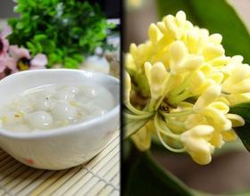 桂花酒酿圆子[图]