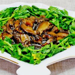 鲜香菇炒油菜的做法[图]