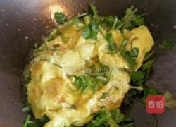 香菜炒笨鸡蛋的做法图解6