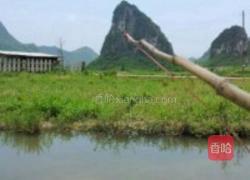 童年小龙虾的做法图解3