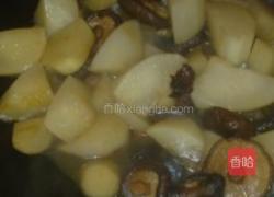 素炖大萝卜的做法图解5