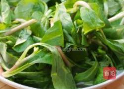 马兰头豆腐卷的做法图解1