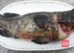 清蒸石斑鱼的做法图解1