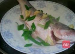 清蒸鲈鱼的做法图解3