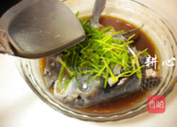 豉汁青鱼头的做法图解10