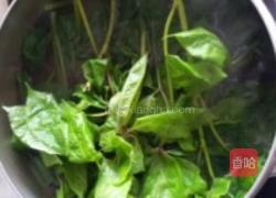 凉拌刺五加的做法图解1