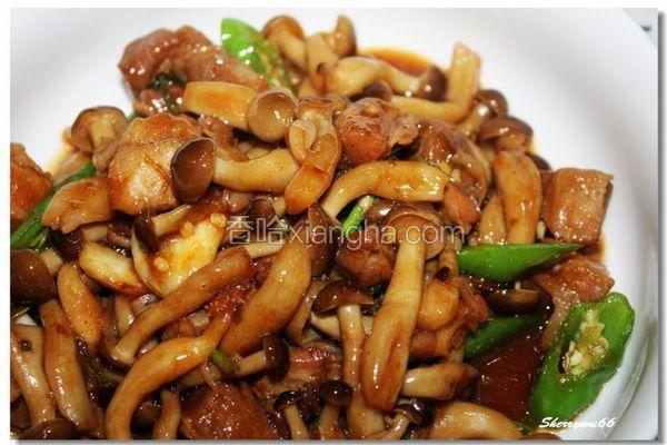 腩肉烧小蘑