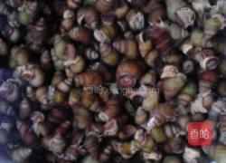 炒田螺的做法图解1